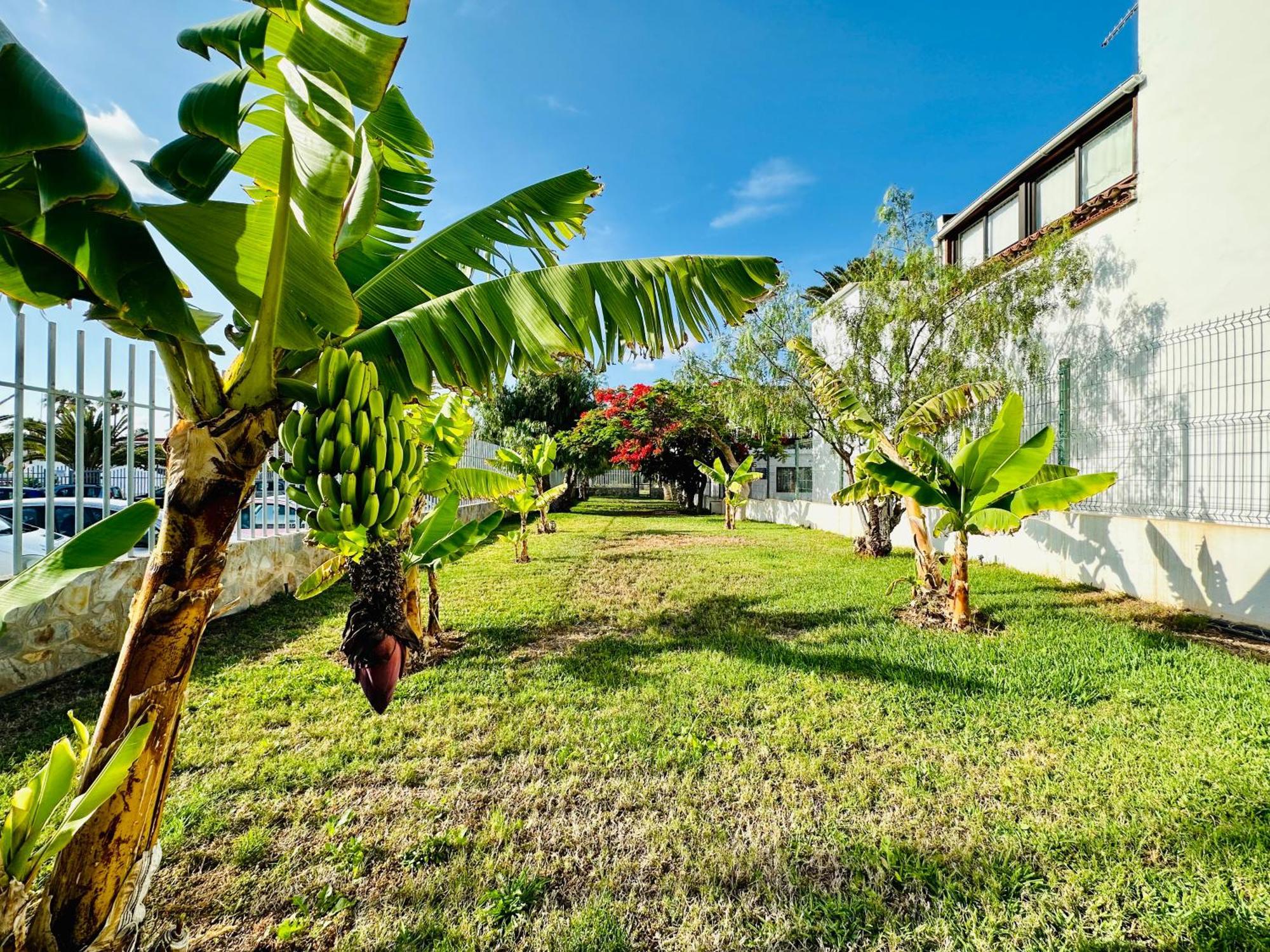 Quiet Apartment Chayofita Arona  Buitenkant foto